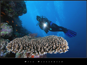Classic coral/diver scene. Dedicated to the 70year old ge... by Rico Besserdich 